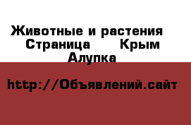  Животные и растения - Страница 25 . Крым,Алупка